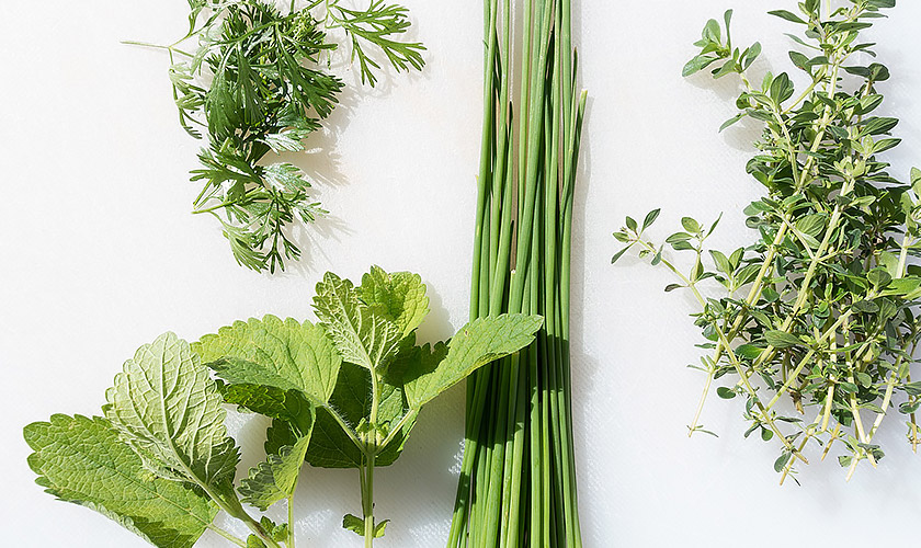 Halloween Costume Trends for 2012